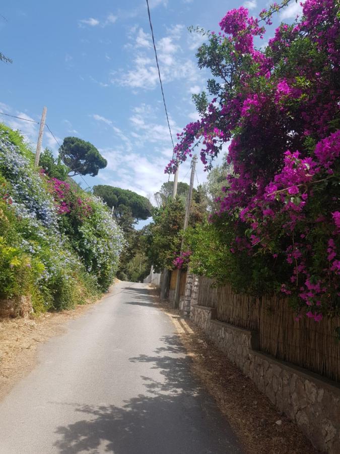 Amazing Villa Seafront On Circeo Mountain 圣费利切-奇尔切奥 外观 照片